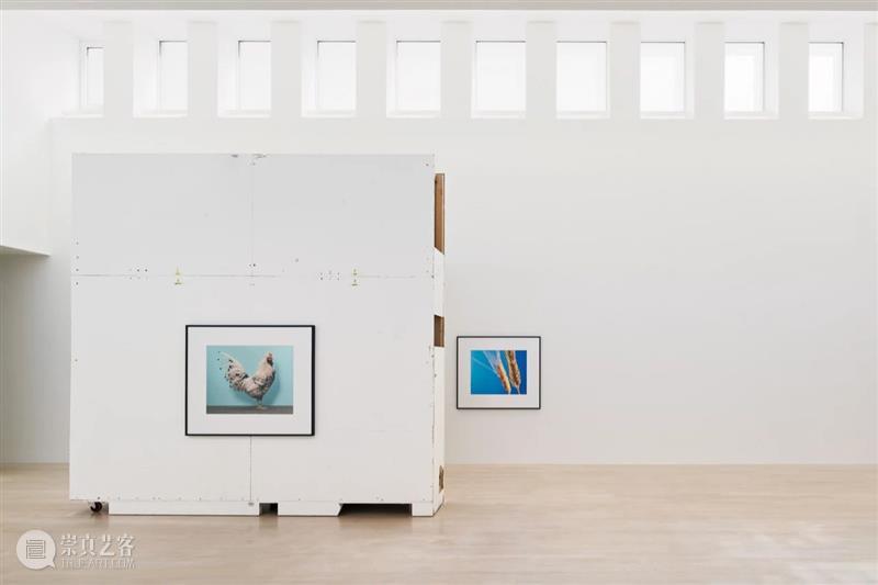 克里斯托弗·威廉姆斯(Christopher Williams)| 卓纳艺术家简介 卓纳画廊DavidZwirner 崇真艺客